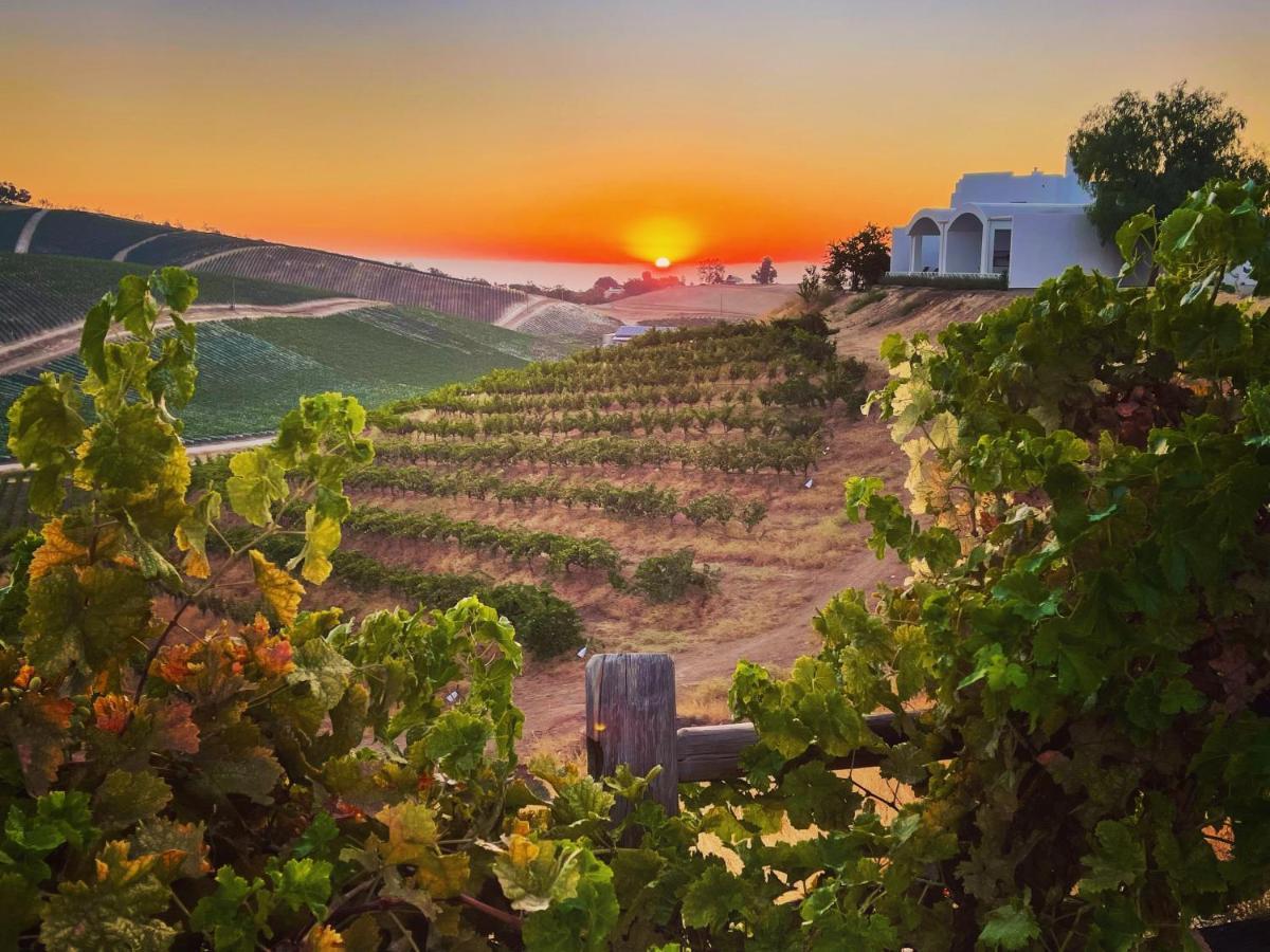 Sirena Vineyard Resort Paso Robles Esterno foto